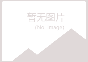 兴平盼夏能源有限公司